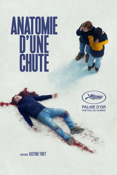 Poster Anatomie d'une chute